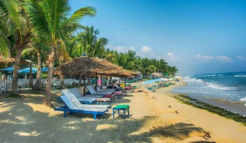 Best time to visit Vietnam (Travel Guide & Tips 2020)