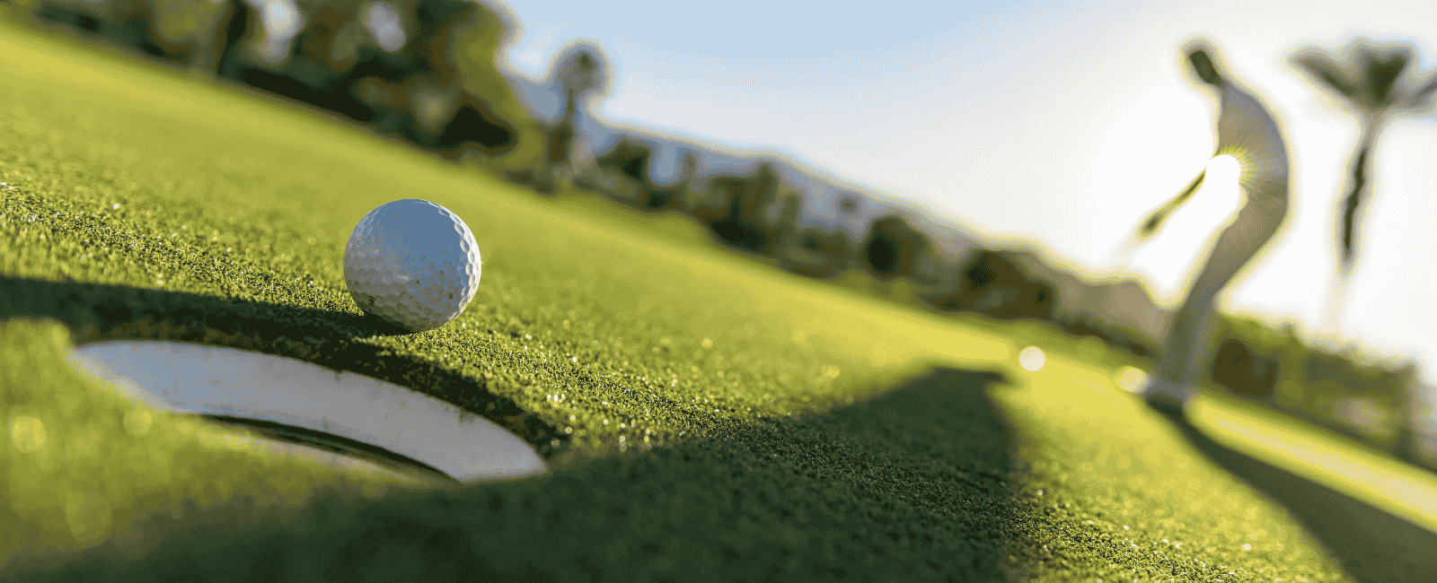 GOLF TOURS