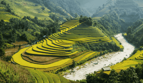 Vietnam